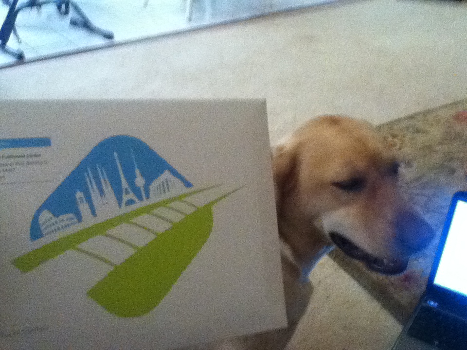 dog and eurail pass