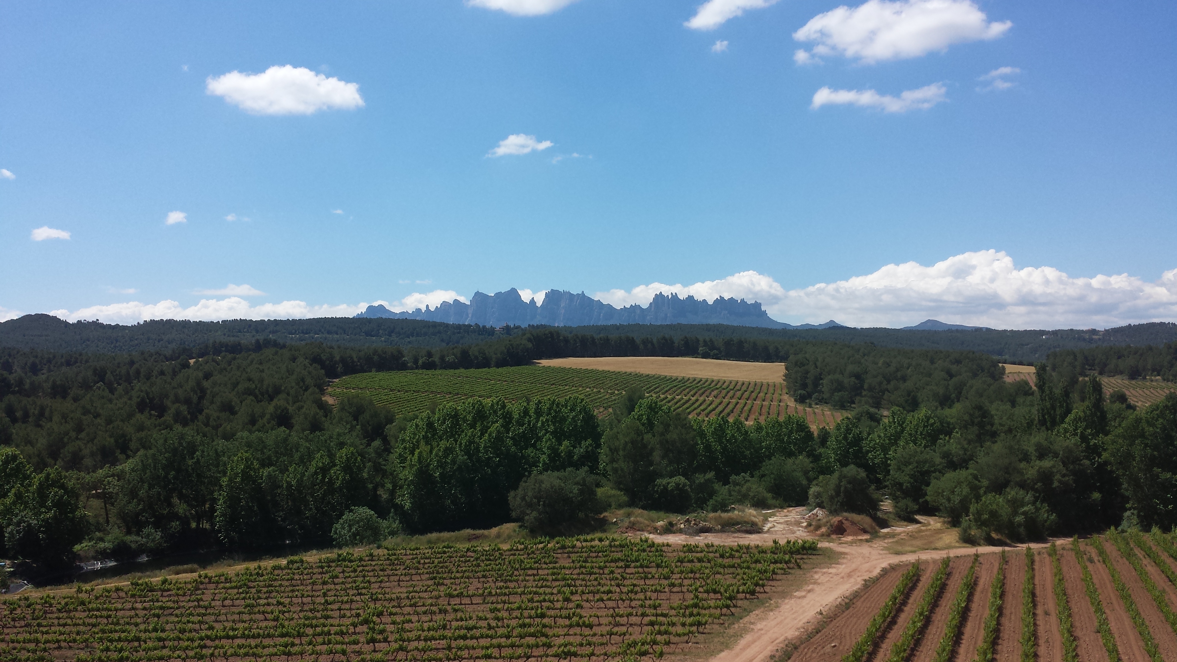 View of Montserrat from the top of the castle