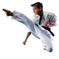 kid-tae-kwon-do-stock-photo