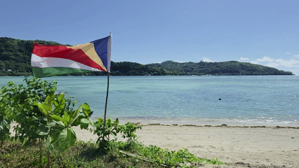 My New Favorite Country