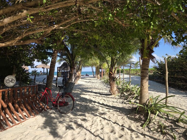 Yucatán Peninsula Wrap – Part 1
